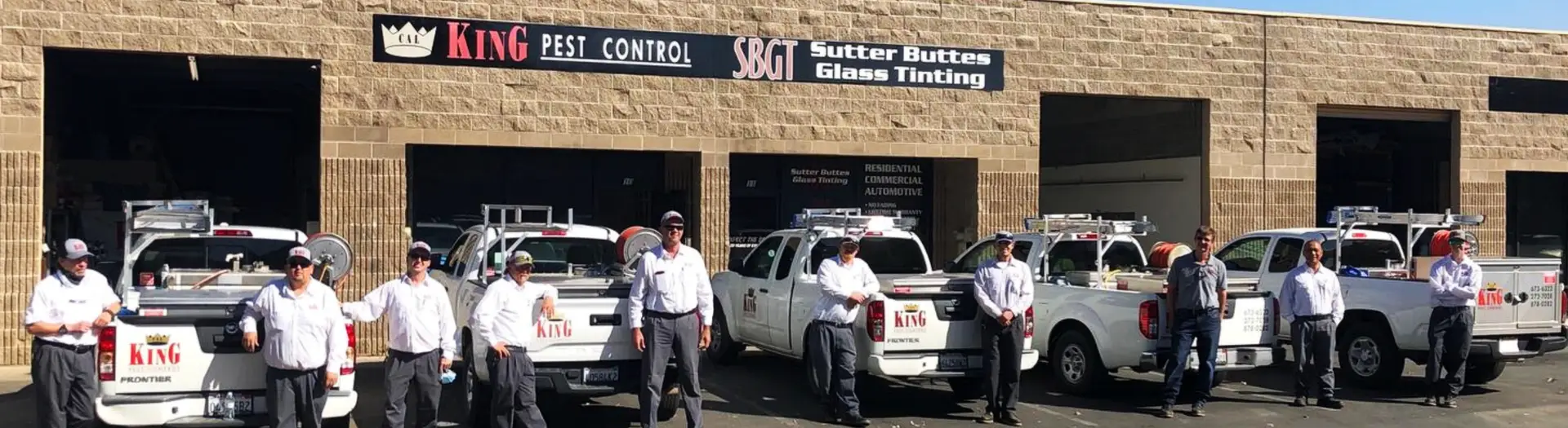 My-project-1-2023-05-04T102559.541.png - Cal King Pest Control Cal king pest control -