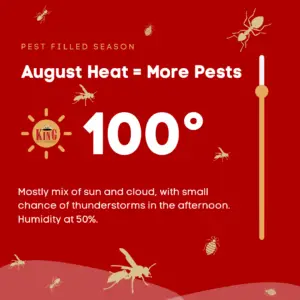 Cal king pest control -