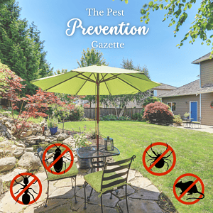 Cal king pest control -