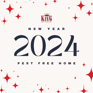 Cal king pest control -