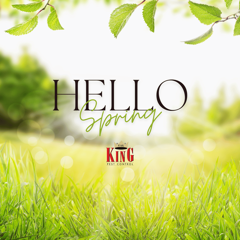 Cal King Newsletter 1 - Cal King Pest Control Cal king pest control -