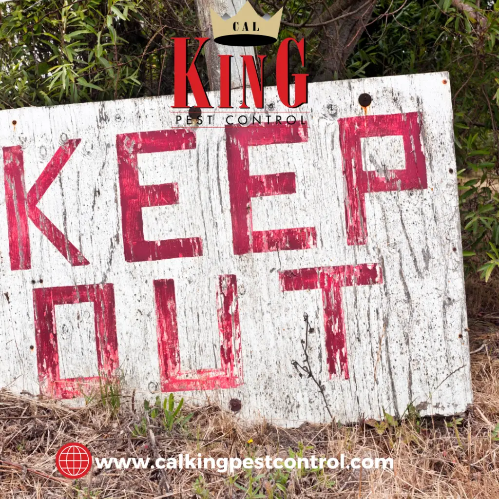 Cal-King-Newsletter-6 - Cal King Pest Control Cal king pest control -