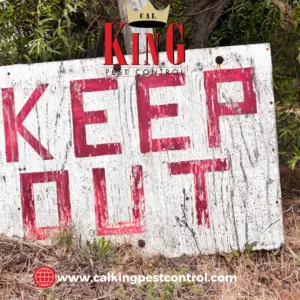 Cal king pest control -