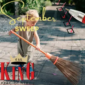 Cal king pest control -