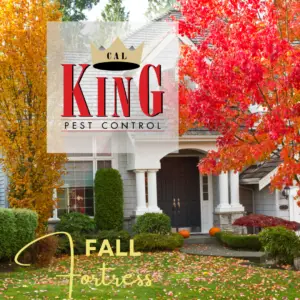 Cal King Newsletter 12 - Cal King Pest Control Cal king pest control -
