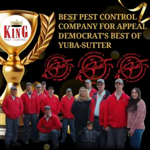 Cal king pest control -