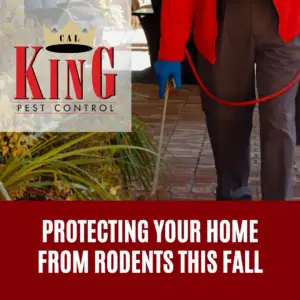 Cal king pest control -