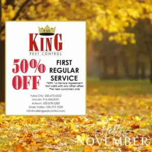 Cal king pest control -