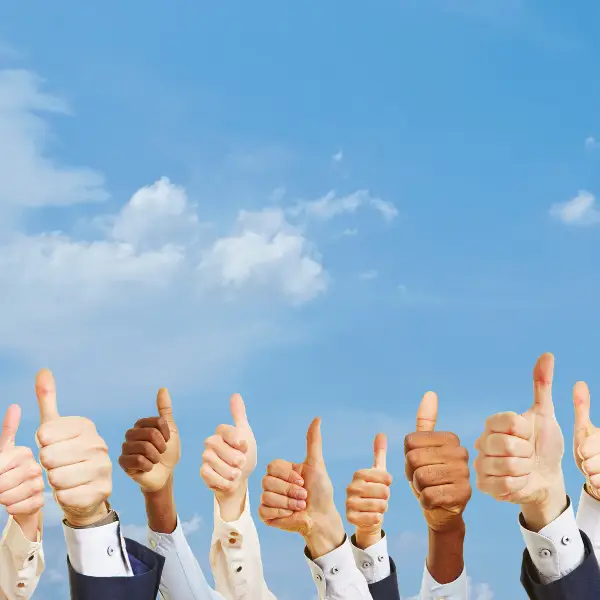 How Cal King Pest Control Protects Your Home and Business Year-Round - Cal King Pest Control Cal king pest control - how cal king pest control protects your home and business year-round