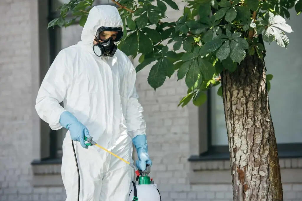 Cal king pest control -