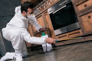 get rid of bed bugs, how to get rid of ants in house