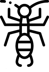 Cal king pest control - how to get rid of silverfish