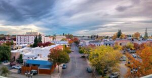 Cal king pest control - cal king pest control - bangor california