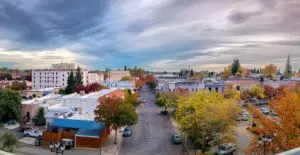 Bangor California Cal King Pest Control Cal King Pest Control Cal King Pest Control Cal King Pest Control Bangor California