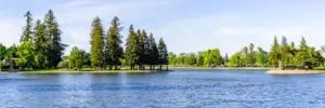 Cal King Pest Control   Cal King Pest Control   Calm lake with grassy islands and tall trees in a sunny park setting