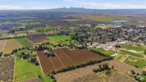 Cal King Pest Control   Cal King Pest Control   Biggs California