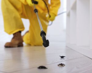home pest control Marysville CA - Cal King Pest Control - Cal King Pest Control Cal king pest control - cal king pest control -