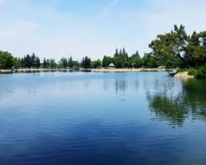 Cal King Pest Control   Cal King Pest Control   A calm lake with reflections of trees on the shore and a small gazebo in the distance under a blue sky